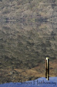 _DSC0530a_thumb - Copy