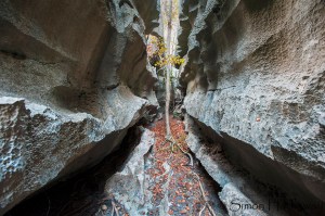 SRH_0118a_thumb - Copy