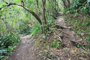 SRH_1180a_thumb - Copy