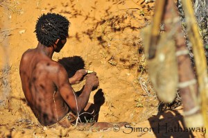 SRH_4915a_thumb - Copy