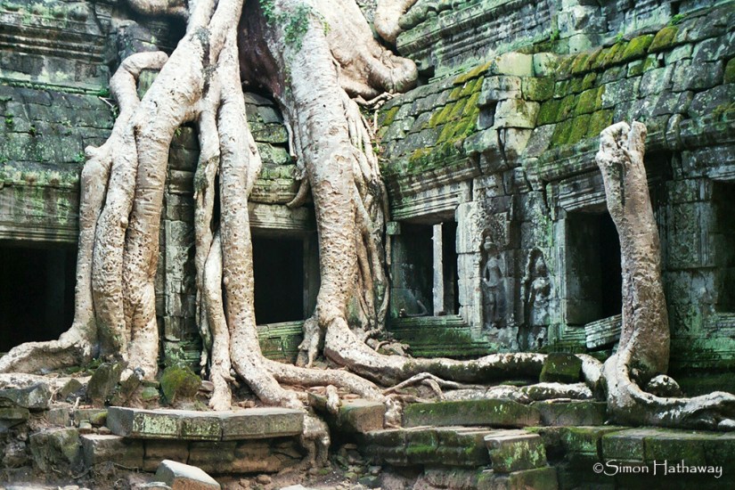 My Pictures0058a_thumb