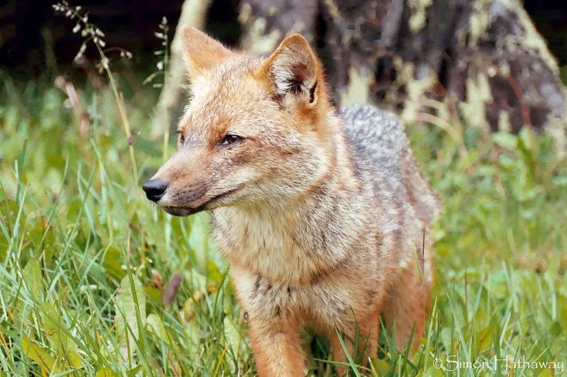 My Pictures0192a_thumb