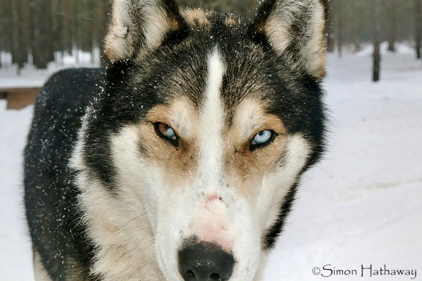 My Pictures0027a_thumb