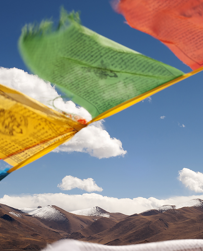 SRH_7936a_thumb_insta