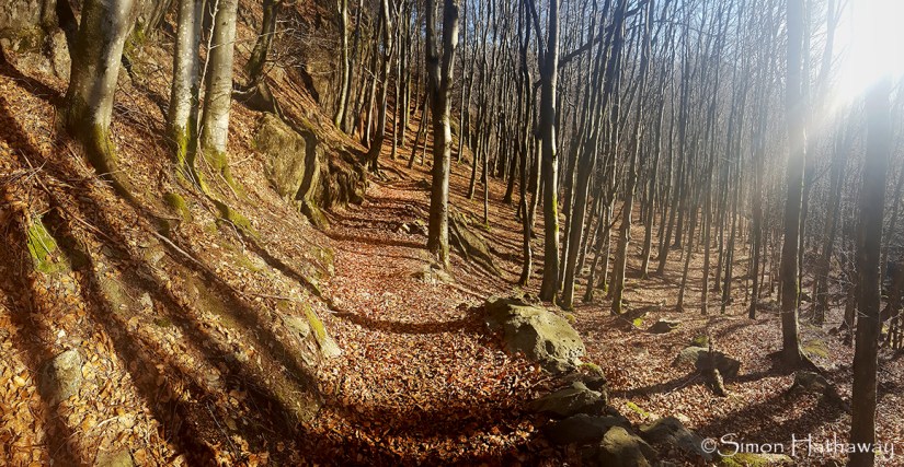 20180225_120721a_thumb