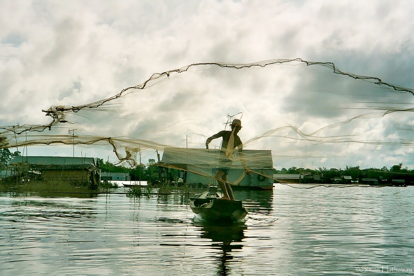 My Pictures0013a_thumb