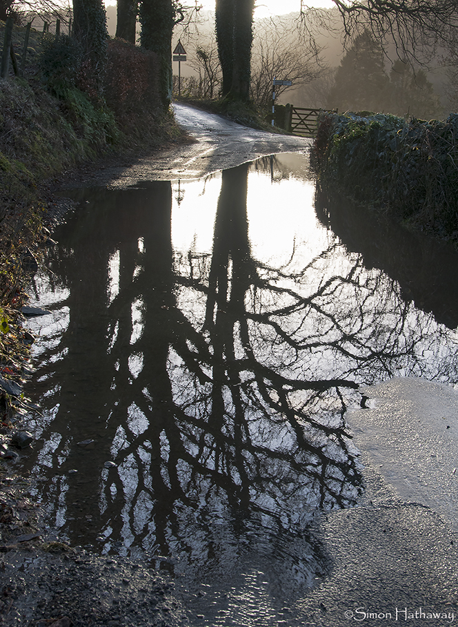 _SRH8539a_thumb_insta