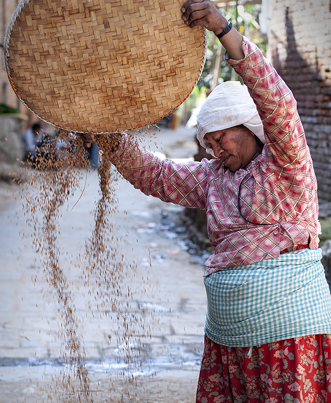 SRH_5733a_thumb_insta