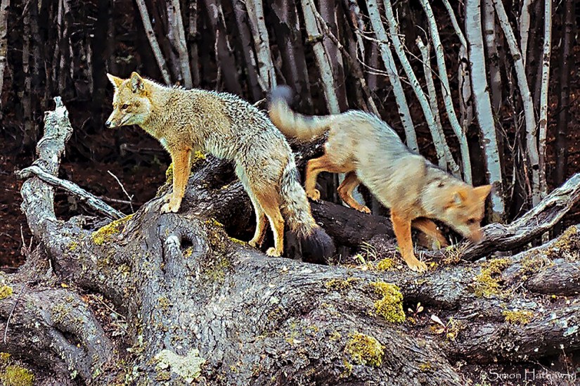 My Pictures0194a_thumb