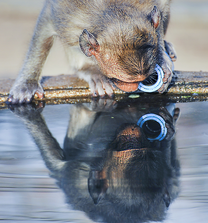 DSC_1251a_thumb_insta