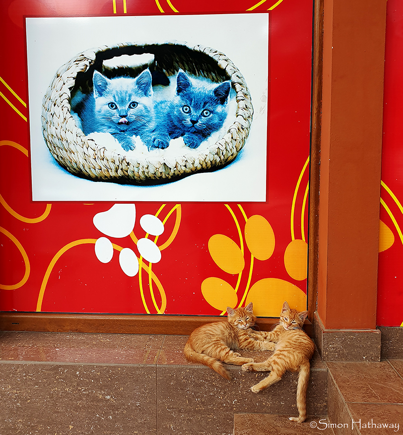 20190902_124722a_thumb_insta